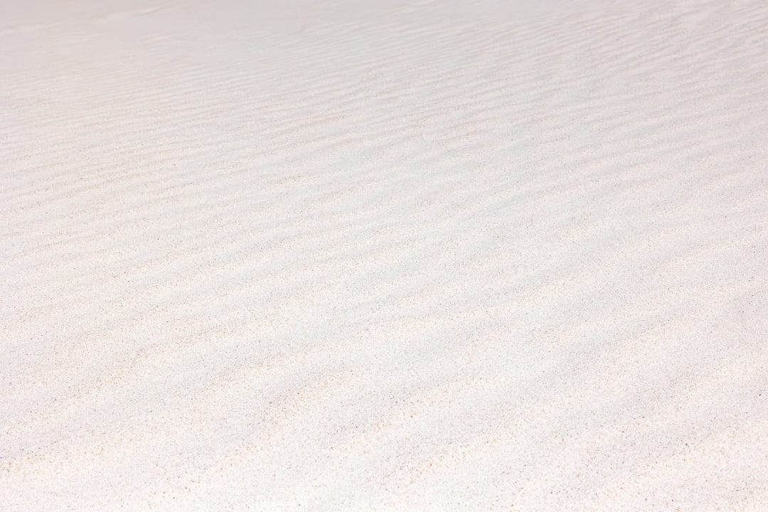 African Startup CEOs Secure $1.6 Billion in Funding, Demonstrating Region's Growing Appeal to Investors