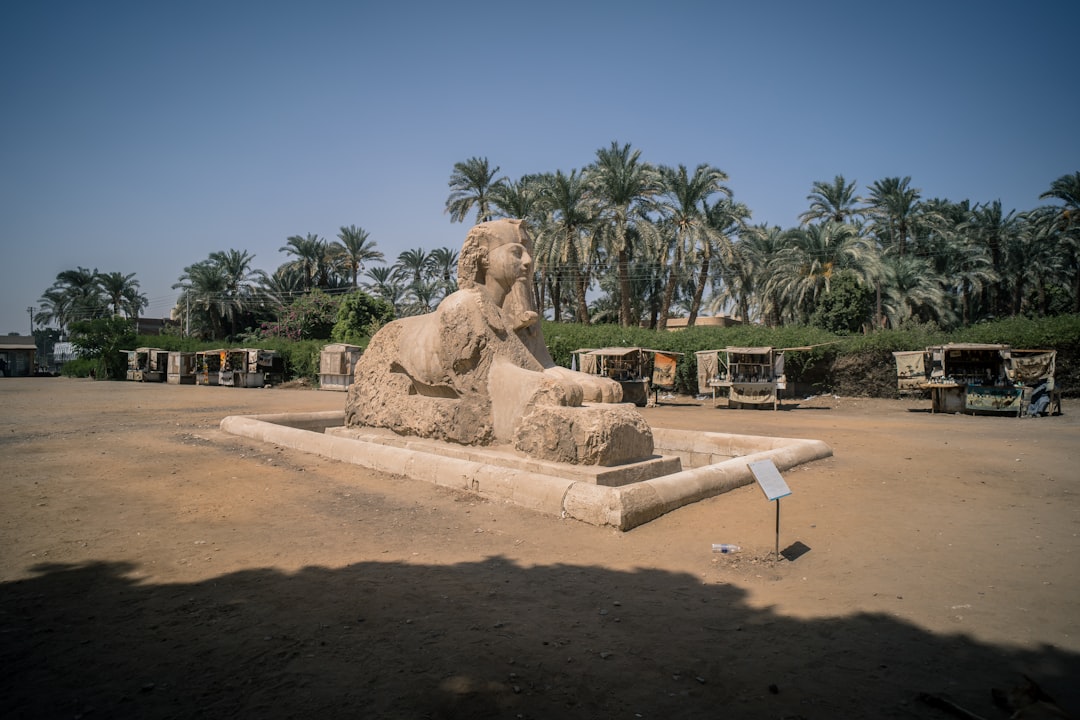 Egypt's Startup Blueprint Exposes Nigeria's Ecosystem Gap