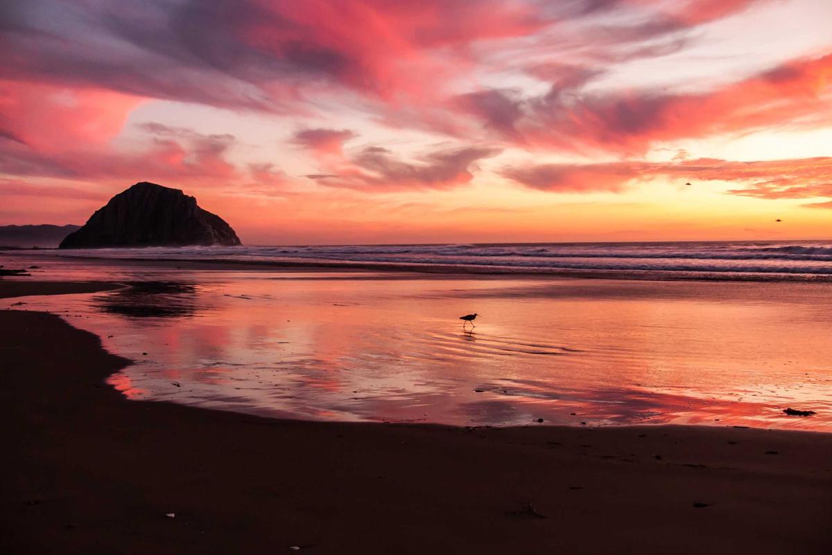 Forbes Magazine Highlights Samuel Eze's Rise to Prominence in African Tech