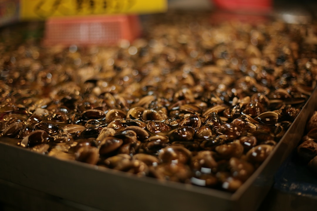 NjiaPay's $2.1m Seed Fuels Africa's $272m Funding Rebound