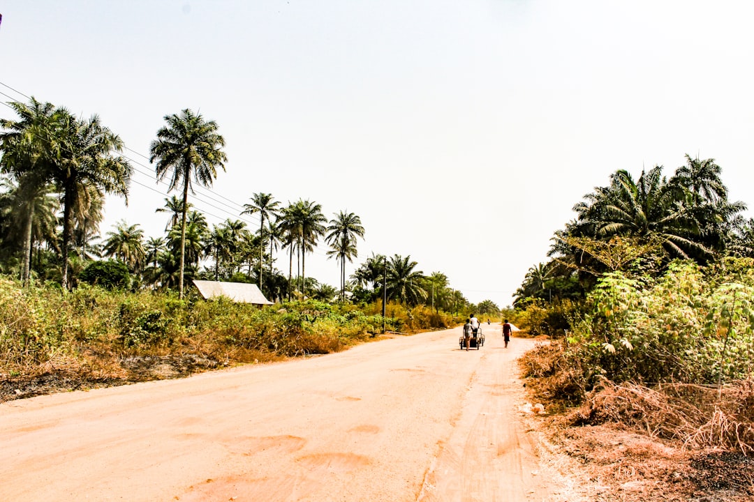 xAI's Offer to Nigerian Founder Signals Africa's Rising AI Market